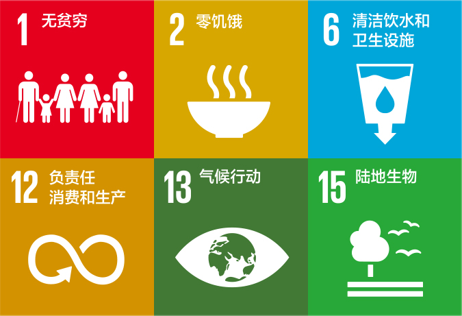 我们支持联合国可持续发展目标