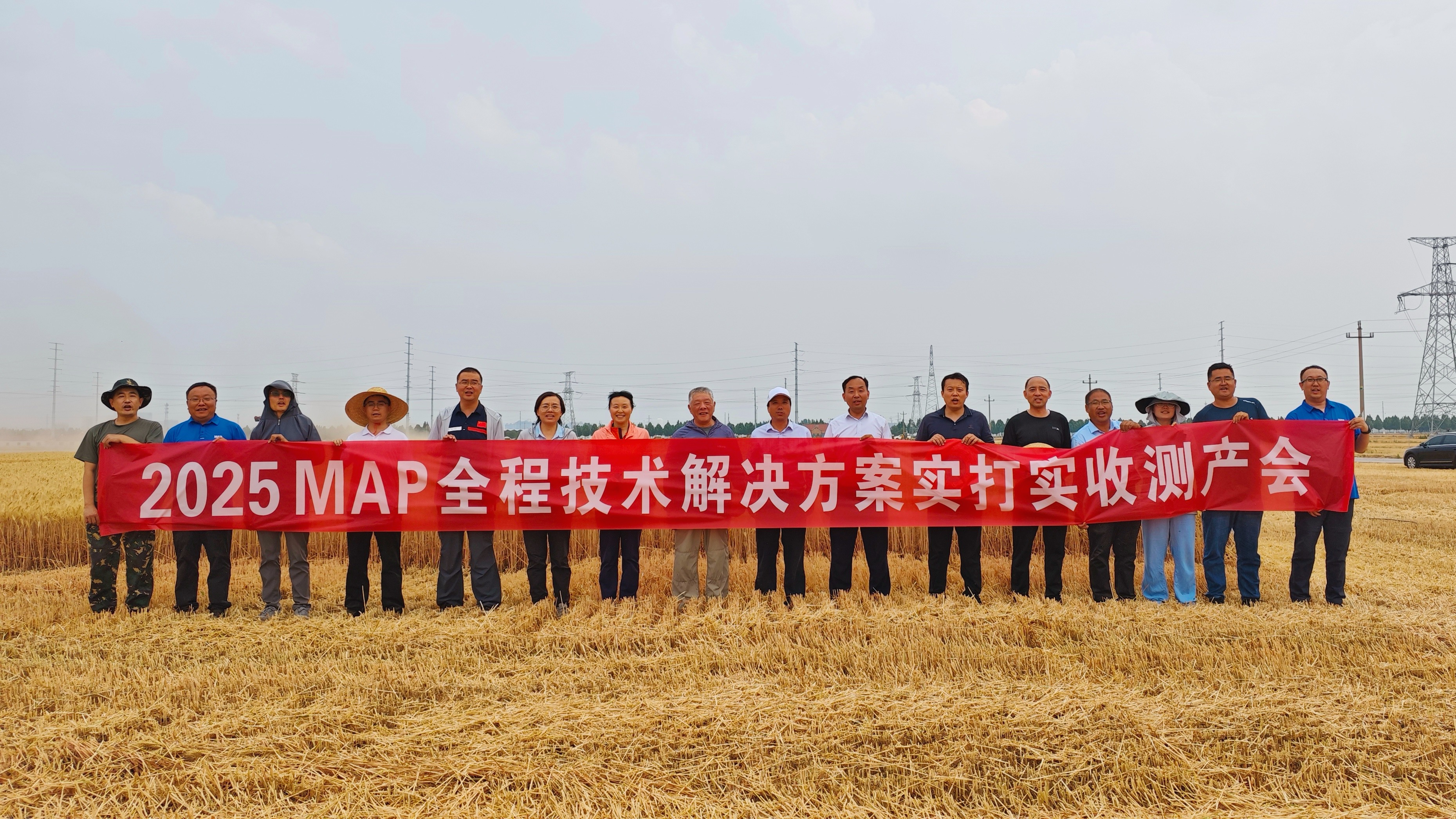 亩产864.21公斤！MAP桓台农场技术集成打造华北小麦高产新标杆