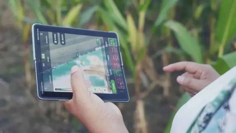 再获殊荣丨中化农业MAP数字农业平台获科技创新重磅奖项