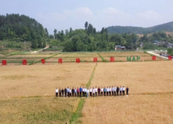 “品质订单”驱动