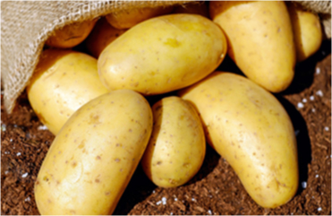 Integrated Planting Solution