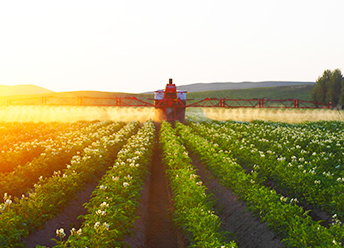 一站式解决方案