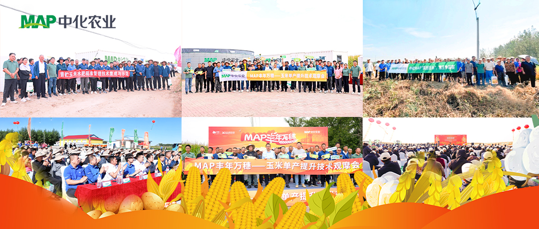 中化农业MAP“丰年万穗”主题观摩活动圆满收官