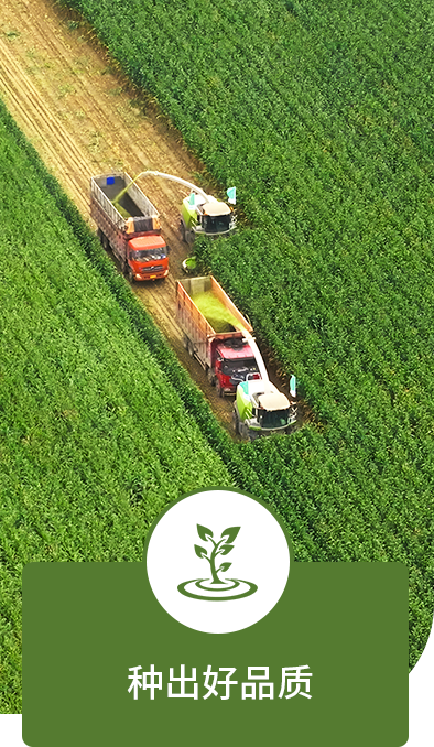 种出好品质