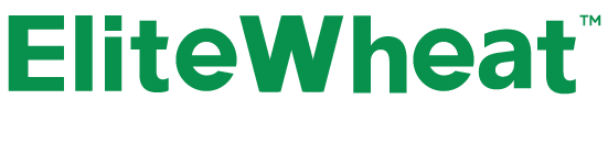 小麦单产提升解决方案